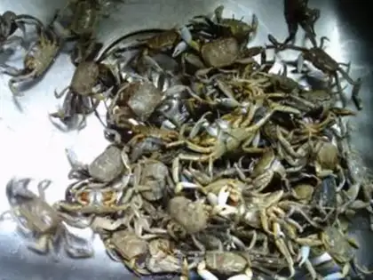 Make Fried crabs step 0