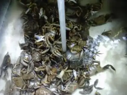 Make Fried crabs step 2
