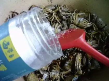 Make Fried crabs step 8