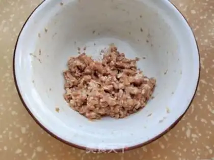 Make Meat tofu spree step 2