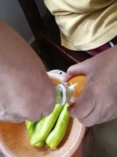Make Paprika step 4