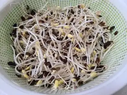 Make Paprika sprouts step 2