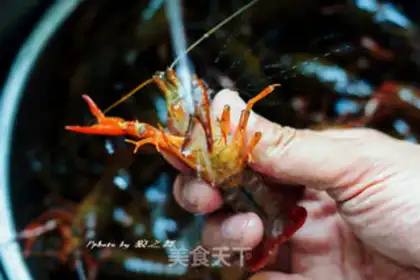 Make Spicy lobster step 0
