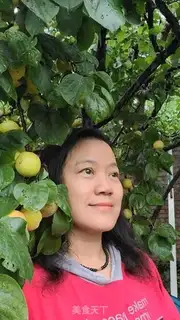 Make Apricot cans step 0