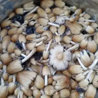 Make Ghost crumbs soup step 1