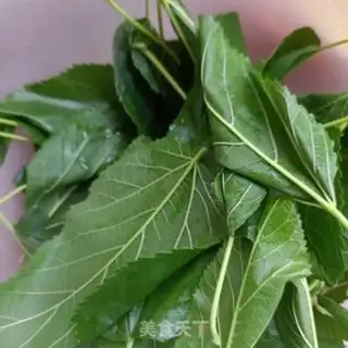 Make Soy leaves step 0