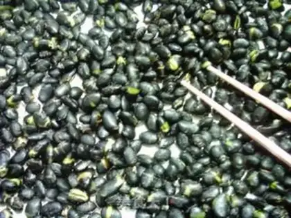 Make Salty black beans step 6