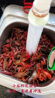 Make Vacuate the lobster step 0