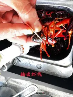 Make Vacuate the lobster step 2