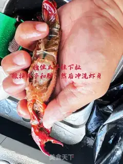 Make Vacuate the lobster step 5