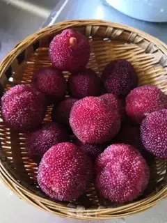 Make Ice cream and plum juice step 0