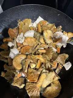 Make Wild fungus soup step 1