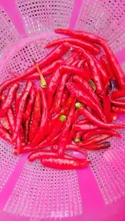 Make Homemade chili sauce step 1