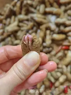 Make Spicy peanuts step 7