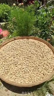 Make Cook peanuts step 6