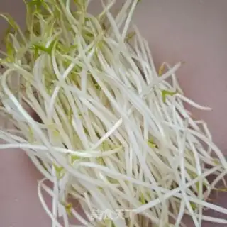 Make Spaghetti green bean bud step 0