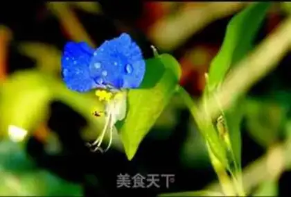 Make Honey butterflies step 0