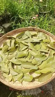 Make Ballet leaves for tea step 5
