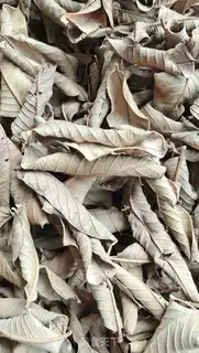 Make Ballet leaves for tea step 7