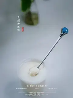 Make Homemade ice cream step 9
