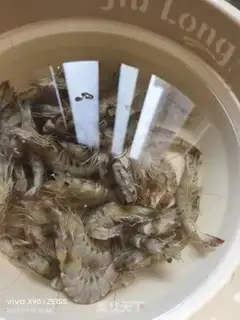 Make Shrimp step 0
