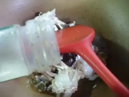 Make Crab-cream fan step 6