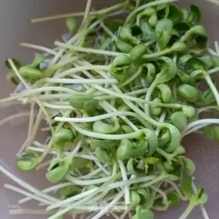 Make Black bean sprouts step 3