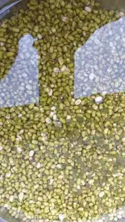 Make Homemade green beans step 0