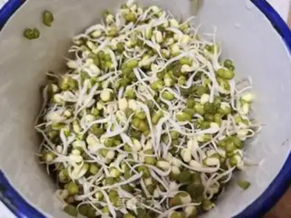 Make The dry green bean sprouts step 2