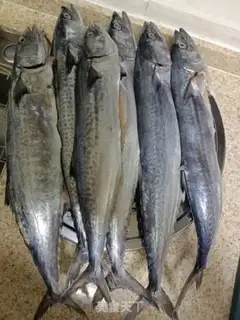 Make Sweet spicy sauce and sashimi step 0