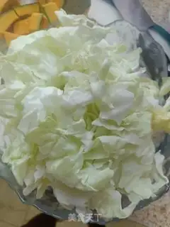 Make Pelican cabbage step 0