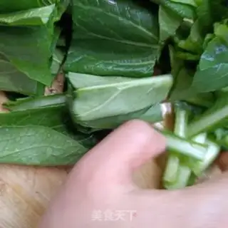 Make The abalone cucumber step 1