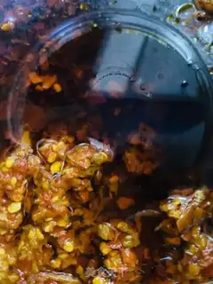 Make Celery beef step 10