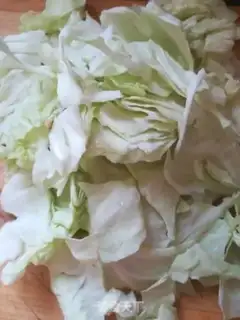 Make Chicken dumplings step 0