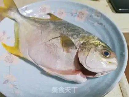 Make Vacuated goldfish step 0