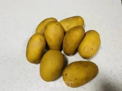 Make Wolftooth potatoes step 0