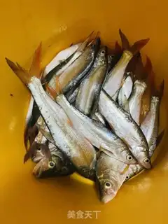 Make Frozen redtail step 0