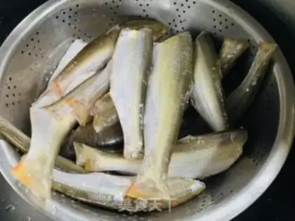 Make Frozen redtail step 1