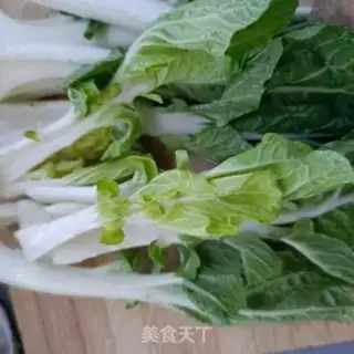Make Shrimp in green step 0
