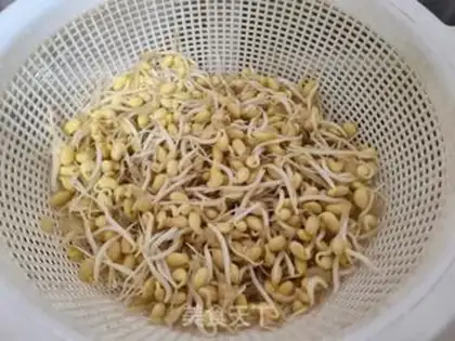 Make Soybean sprouts step 1