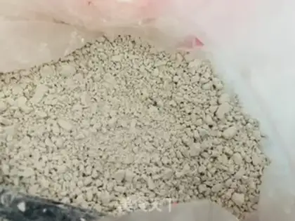 Make Flaming mushrooms step 0