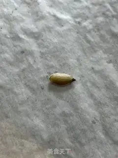 Make Pumpkin step 5