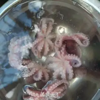 Make Onions of octopus step 6