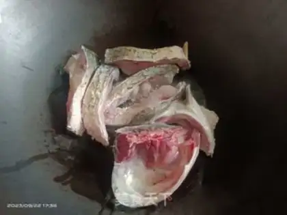 Make Sourfish step 2