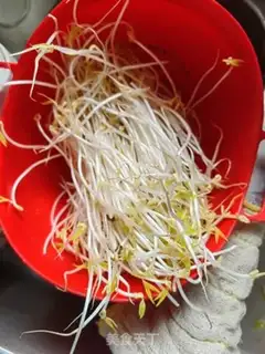 Make Onion platters step 1