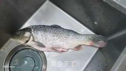 Make Carp step 0