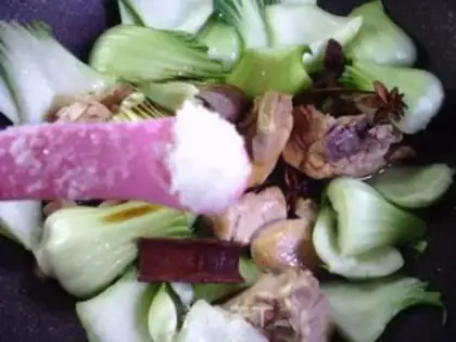 Make Chicken cuisine step 9