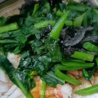 Make Zinc shrimp broth core step 7