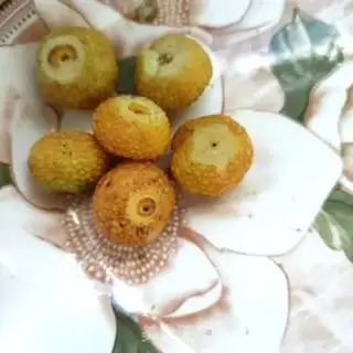 Make Pear juice step 1