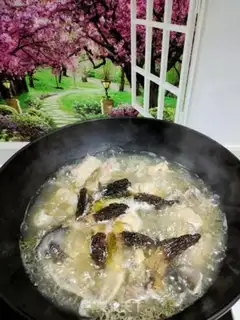 Make A black-footed chicken with sheep